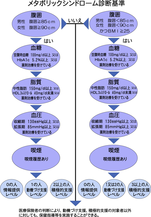 特定保健指導レベルの診断基準